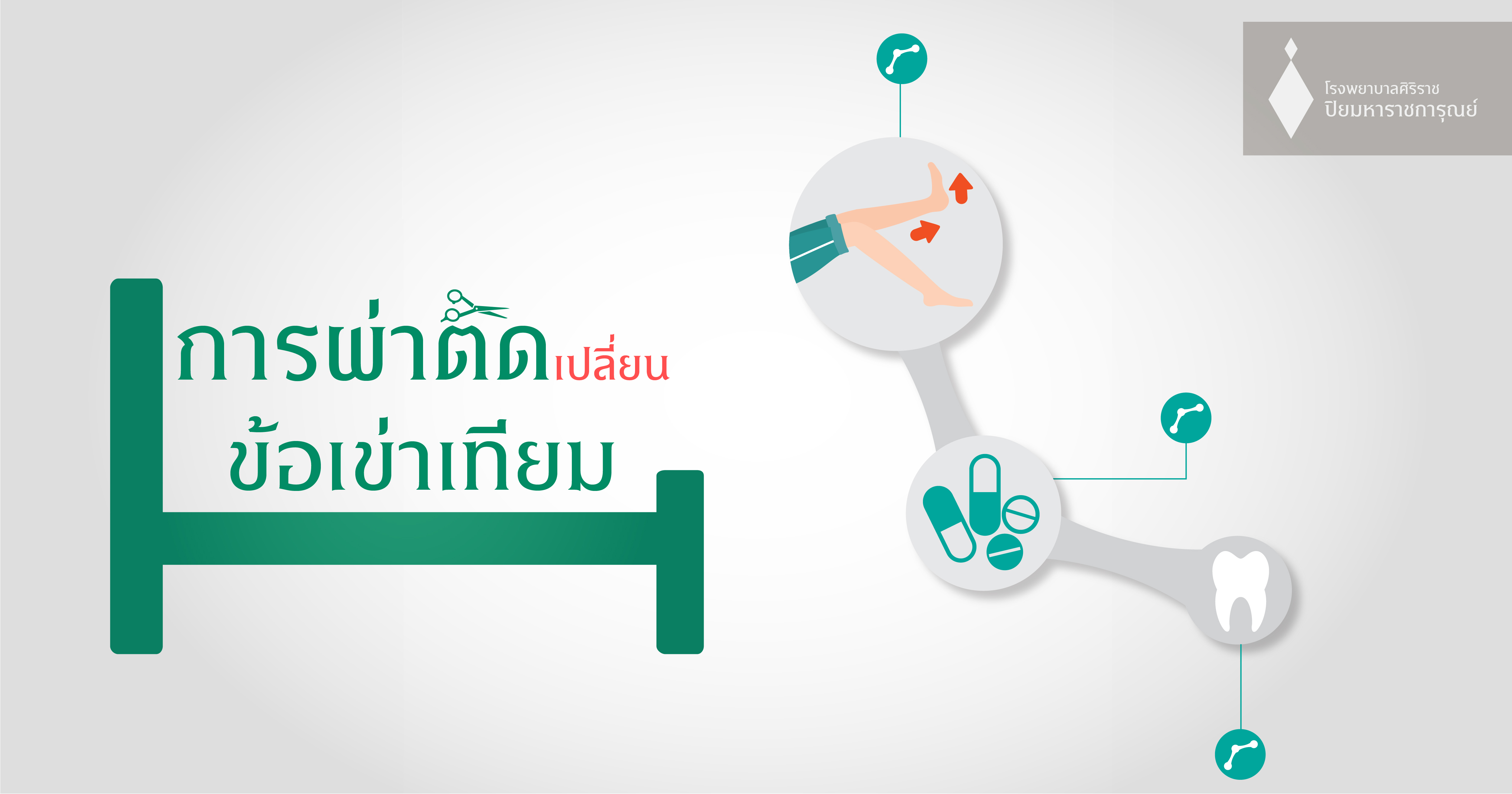 เตรียมตัวผ่าตัดเปลี่ยนข้อเข่าเทียม (Total Knee Replacement)