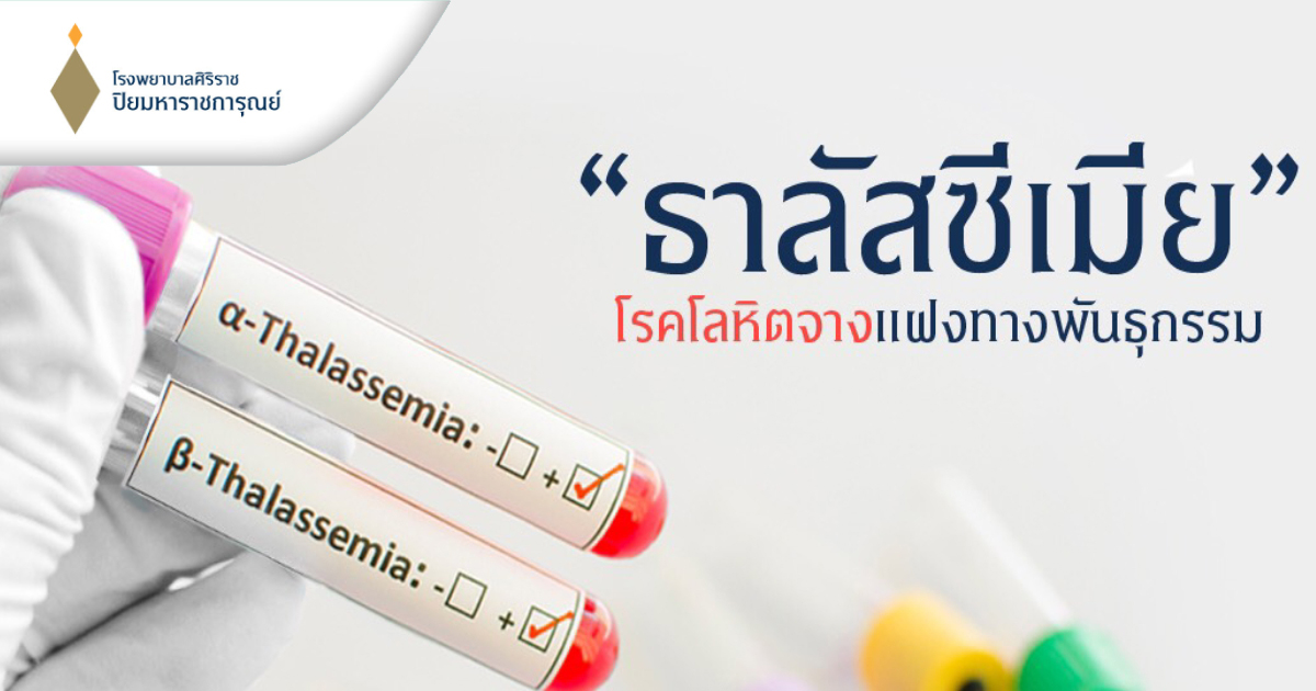 ธาลัสซีเมีย (Thalassemia) โรคโลหิตจางทางพันธุกรรมที่ควรรู้ก่อนวางแผนมีบุตร